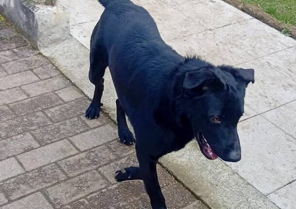 Generico 02 Mar 2026