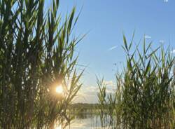 Generico 02 Mar 2026