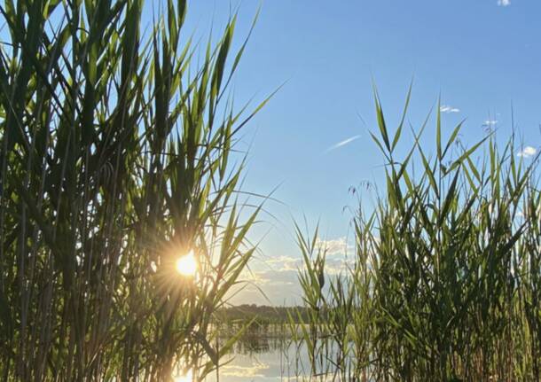 Generico 02 Mar 2026