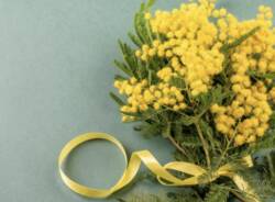 Generico 02 Mar 2026