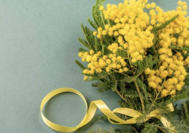 Generico 02 Mar 2026