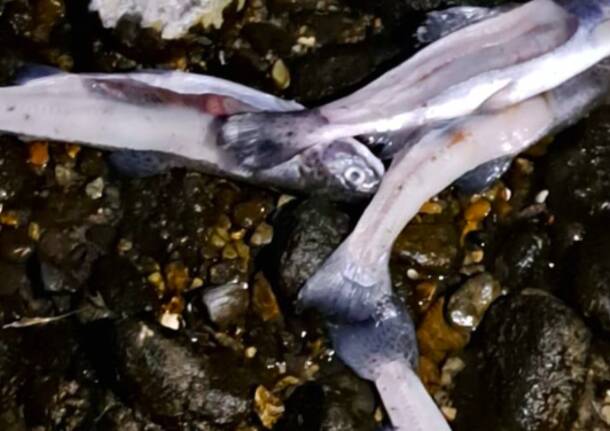 Generico 09 Mar 2026