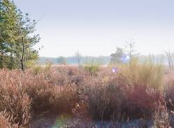 Generico 09 Mar 2026