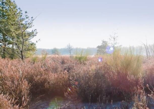 Generico 09 Mar 2026