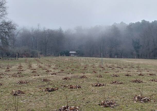 Generico 23 Mar 2026