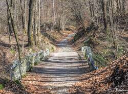 Generico 23 Mar 2026