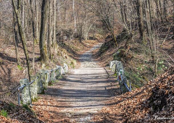 Generico 23 Mar 2026