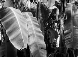 Generico 30 Mar 2026