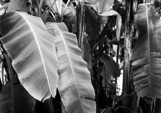 Generico 30 Mar 2026