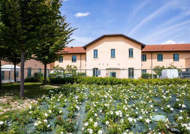 Generico 30 Mar 2026