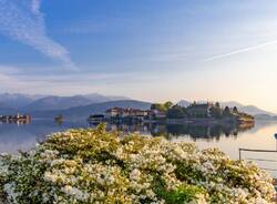 ISOLA BELLA/Lago Maggiore Archivio Fotografico Distretto Turistico dei Laghi, Foto di Marco Benedetto Cerini
