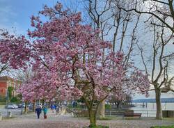 angera - foto di ulisse piana