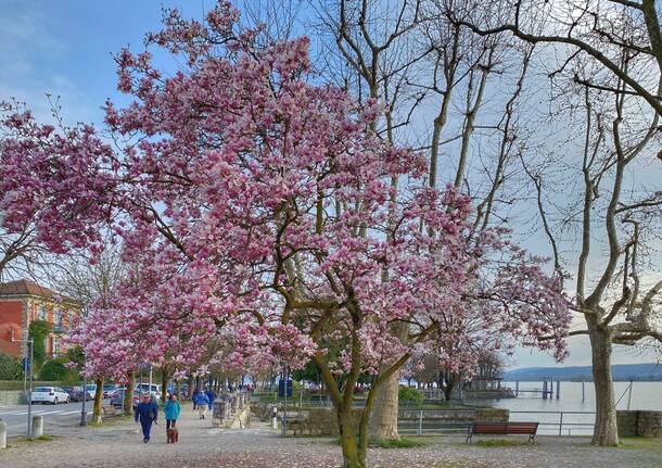 angera - foto di ulisse piana