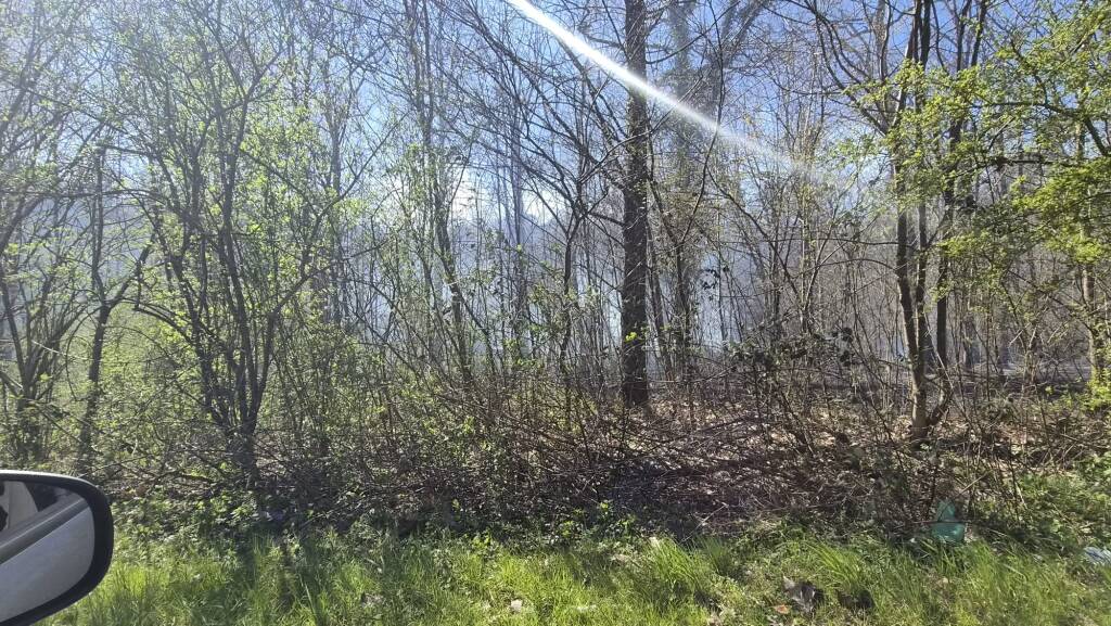 L'incendio tra Corgeno e Vergiate