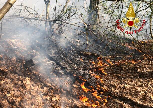 L’incendio tra Corgeno e Vergiate
