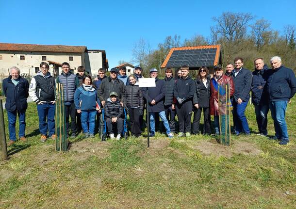 Nuovi ciliegi selvatici al Mulino Vecchio di Bellinzago Novarese