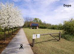 Nuovi ciliegi selvatici al Mulino Vecchio di Bellinzago Novarese