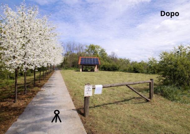 Nuovi ciliegi selvatici al Mulino Vecchio di Bellinzago Novarese