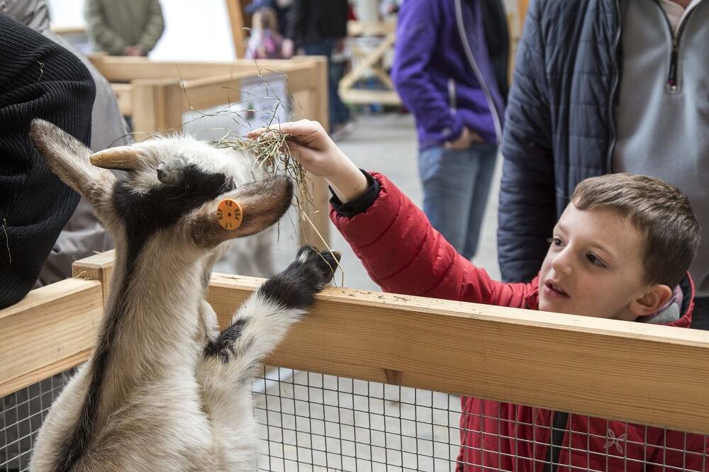 Pasqua a Santa Maria Maggiore: gli appuntamenti dedicati a cibo e divertimento 