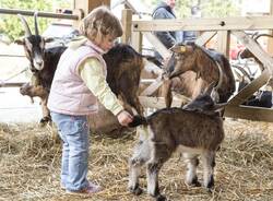 Pasqua a Santa Maria Maggiore: gli appuntamenti dedicati a cibo e divertimento 