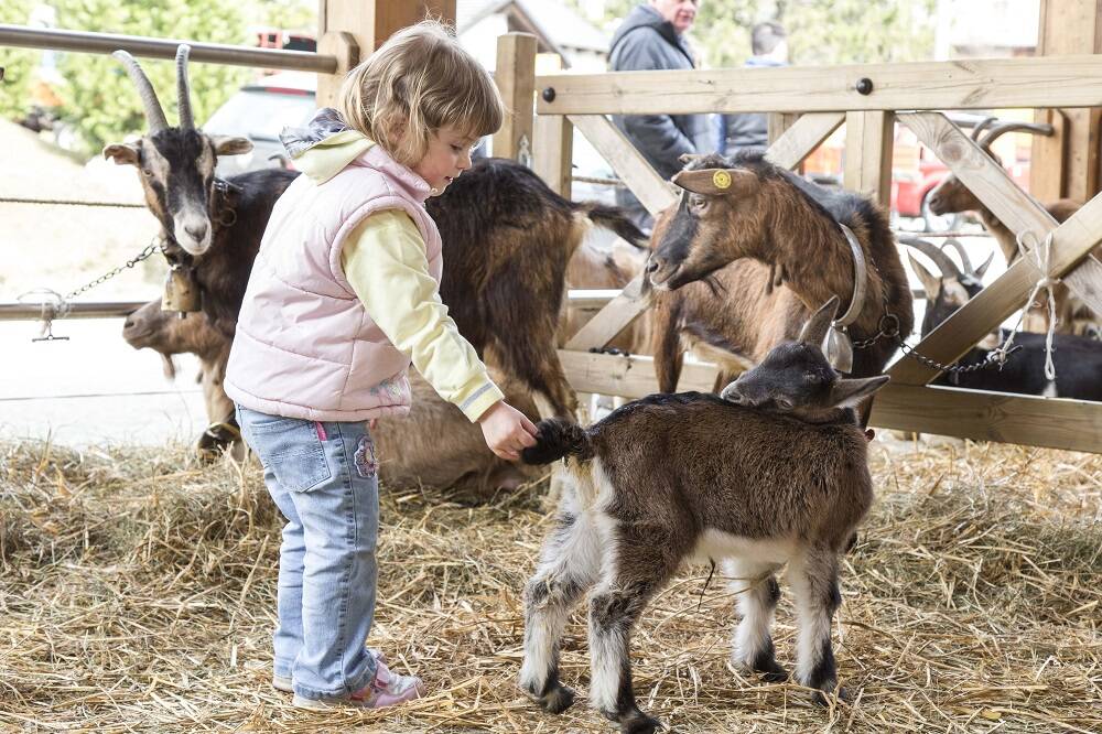 Pasqua a Santa Maria Maggiore: gli appuntamenti dedicati a cibo e divertimento 