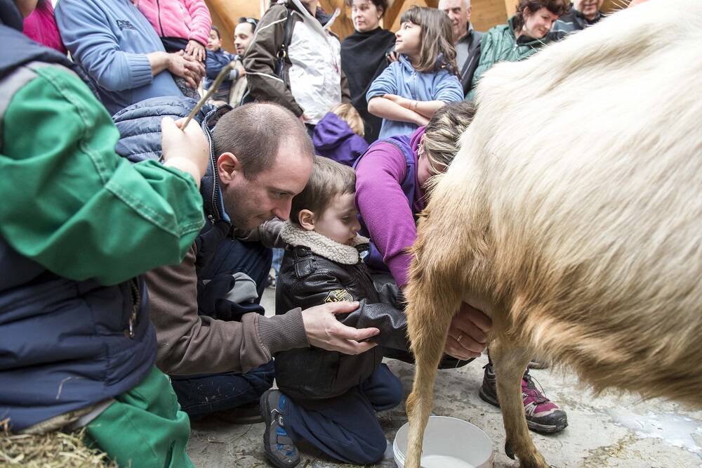 Pasqua a Santa Maria Maggiore: gli appuntamenti dedicati a cibo e divertimento 