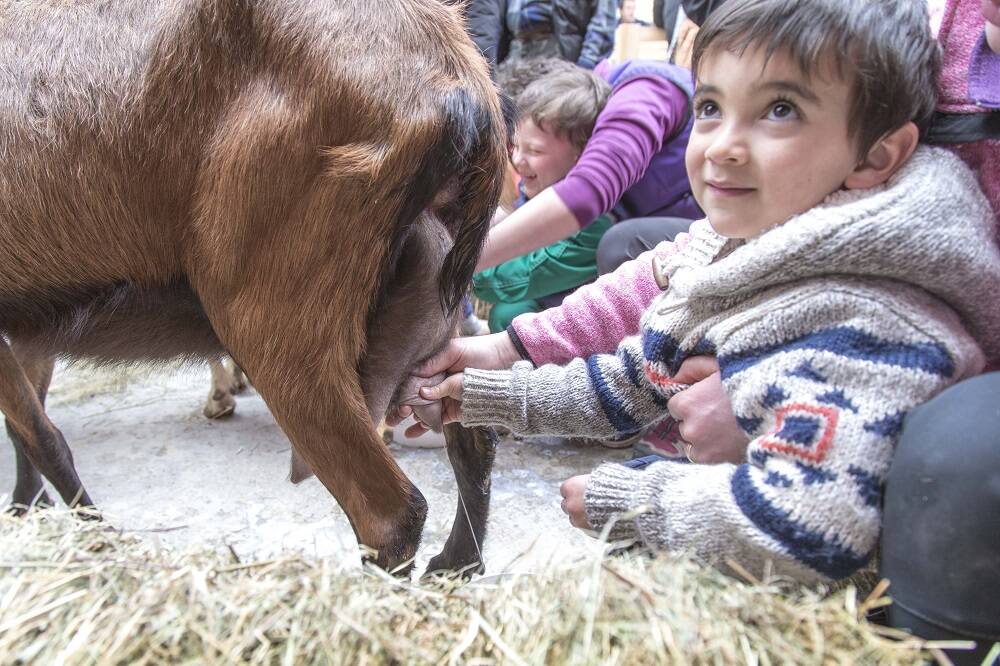 Pasqua a Santa Maria Maggiore: gli appuntamenti dedicati a cibo e divertimento 