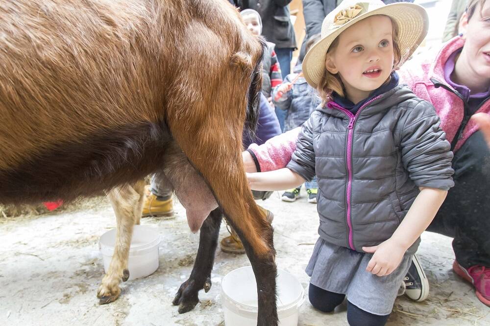 Pasqua a Santa Maria Maggiore: gli appuntamenti dedicati a cibo e divertimento 