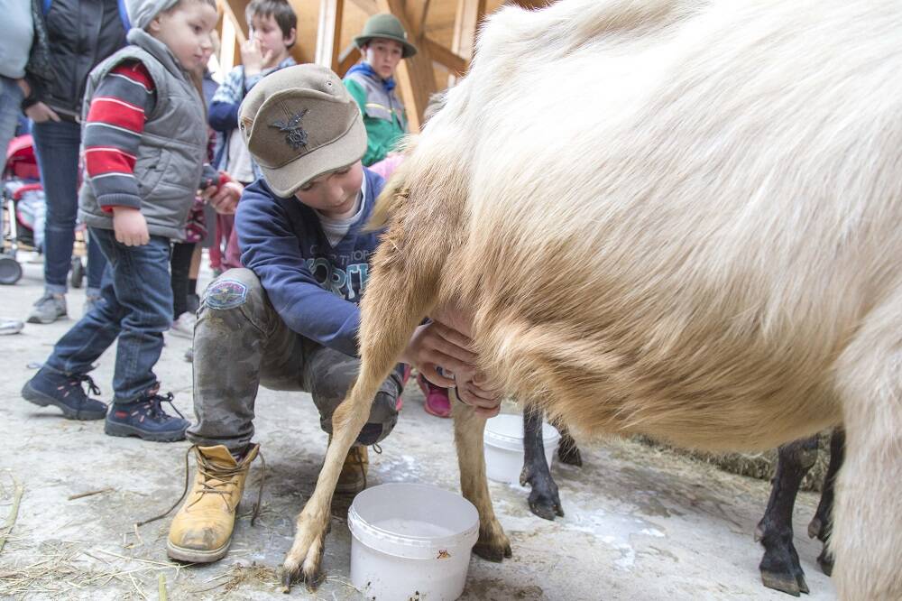 Pasqua a Santa Maria Maggiore: gli appuntamenti dedicati a cibo e divertimento 