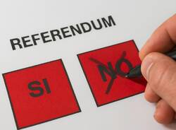 referendum