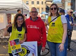 aic e varese van vlaanderen