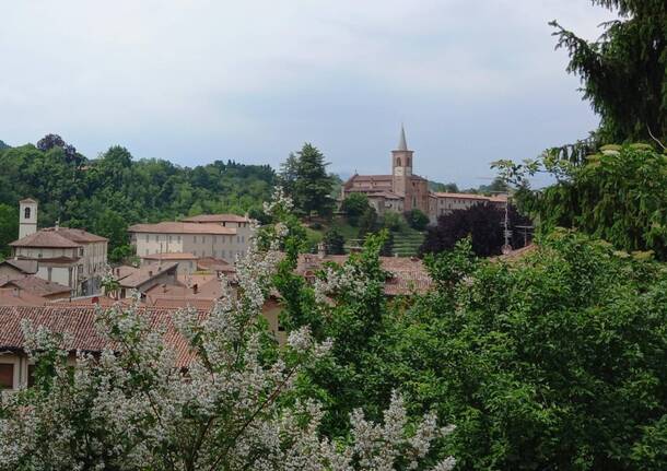 collegiata castiglione olona