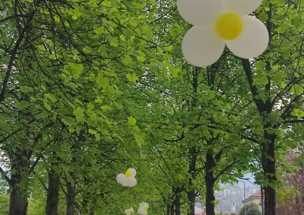 Festa della Primavera a Luino