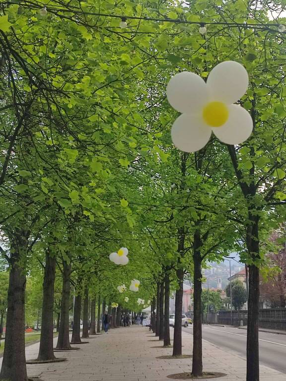 Festa della primavera a Luino