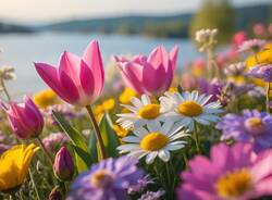 Generico 06 Apr 2026