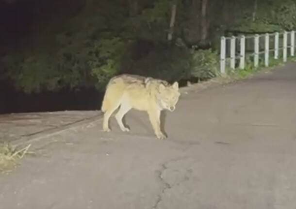 Generico 13 Apr 2026