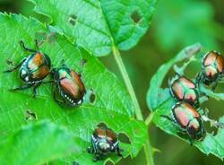 Generico 20 Apr 2026