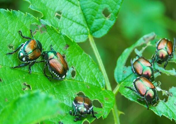 Generico 20 Apr 2026