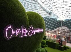 Generico 20 Apr 2026