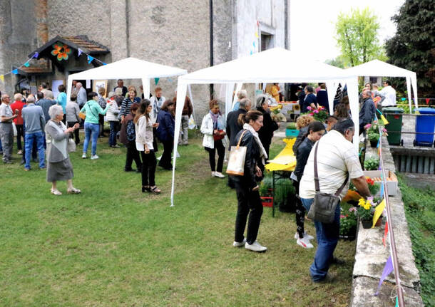 Generico 20 Apr 2026