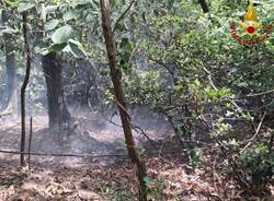 Generico 20 Apr 2026