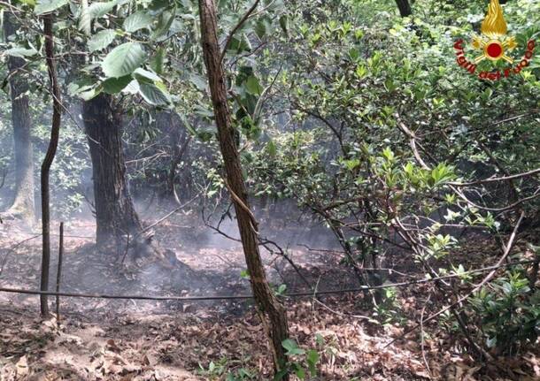 Generico 20 Apr 2026