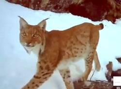 Generico 30 Mar 2026