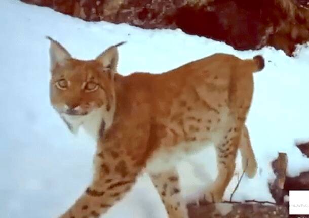 Generico 30 Mar 2026