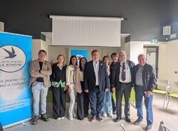 Golasecca le rondini 