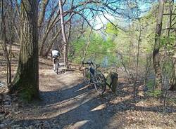 gravel ispra ciclismo