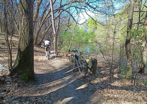 gravel ispra ciclismo