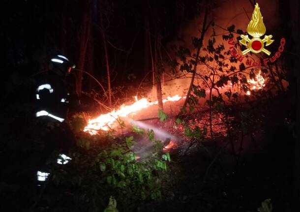 incendio boschivo vigili del fuoco