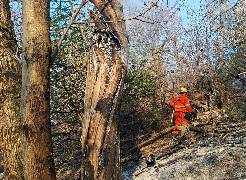 Incendio di Laveno Mombello - Gli operatori al lavoro
