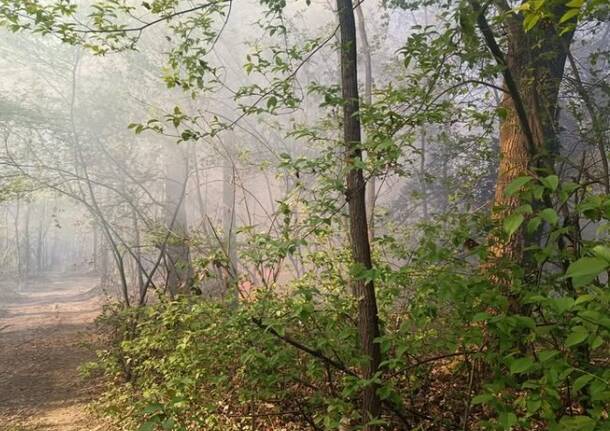 L'incendio in via Campirolo a Vergiate